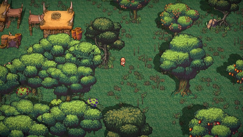 Exploring_Single_Jungle-scaled-1